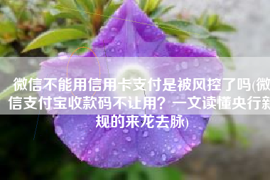 微信不能用信用卡支付是被风控了吗(微信支付宝收款码不让用？一文读懂央行新规的来龙去脉)