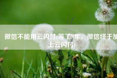 微信不能用云闪付(等了N年，微信终于加上云闪付)