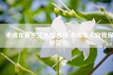 未成年保护法名言名句(未成年人自我保护简句)