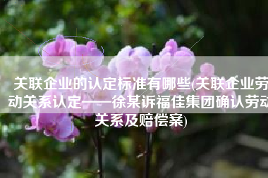 关联企业的认定标准有哪些(关联企业劳动关系认定——徐某诉福佳集团确认劳动关系及赔偿案)