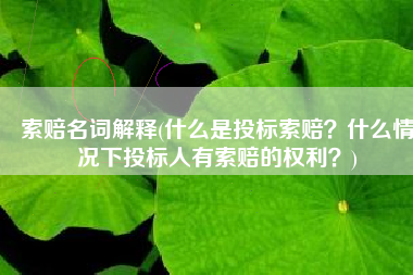 索赔名词解释(什么是投标索赔？什么情况下投标人有索赔的权利？)