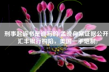 刑事起诉书是谁写的(孟晚舟案证据公开！汇丰银行构陷，美国一手炮制)