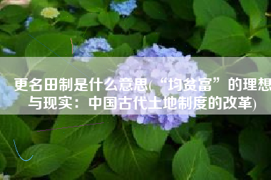 更名田制是什么意思(“均贫富”的理想与现实：中国古代土地制度的改革)