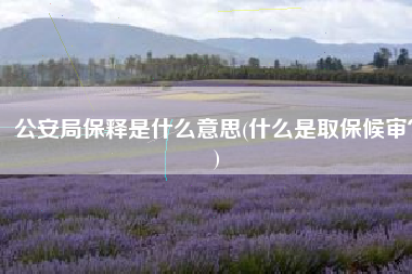 公安局保释是什么意思(什么是取保候审？)