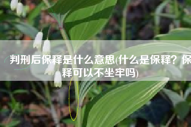 判刑后保释是什么意思(什么是保释？保释可以不坐牢吗)