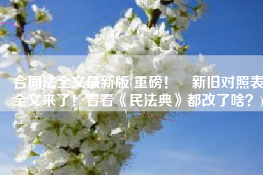 合同法全文最新版(重磅！​新旧对照表全文来了！看看《民法典》都改了啥？)