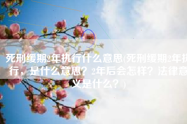 死刑缓期2年执行什么意思(死刑缓期2年执行，是什么意思？2年后会怎样？法律意义是什么？)