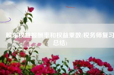 股东权益报酬率和权益乘数(税务师复习总结)