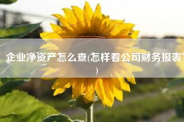 企业净资产怎么查(怎样看公司财务报表？)
