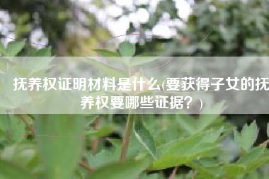 抚养权证明材料是什么(要获得子女的抚养权要哪些证据？)