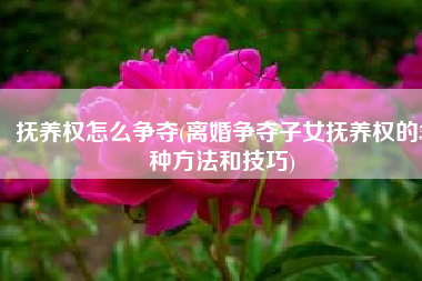 抚养权怎么争夺(离婚争夺子女抚养权的5种方法和技巧)