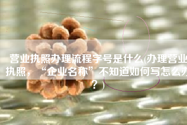 营业执照办理流程字号是什么(办理营业执照，“企业名称”不知道如何写怎么办？)