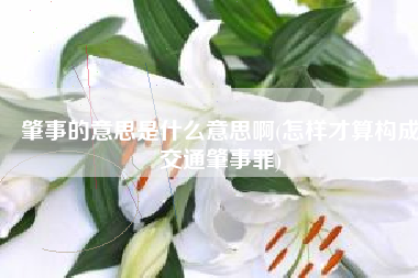 肇事的意思是什么意思啊(怎样才算构成交通肇事罪)