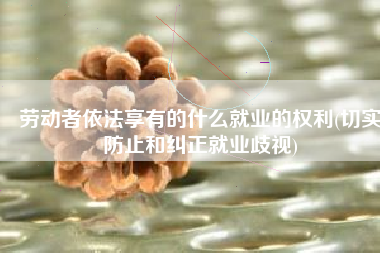 劳动者依法享有的什么就业的权利(切实防止和纠正就业歧视)