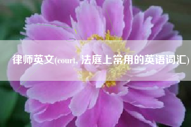 律师英文(court, 法庭上常用的英语词汇)