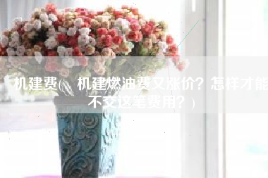 机建费(​机建燃油费又涨价？怎样才能不交这笔费用？)