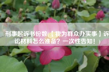 刑事起诉书份数(【我为群众办实事】诉讼材料怎么准备？一次性告知！)