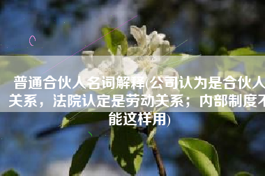 普通合伙人名词解释(公司认为是合伙人关系，法院认定是劳动关系；内部制度不能这样用)