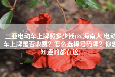 三亚电动车上牌照多少钱(@海南人 电动车上牌是否收费？怎么选择号码牌？你想知道的都在这)