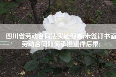 四川省劳动合同法实施细则(未签订书面劳动合同如何承担法律后果)