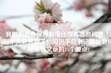 我国的社会保障制度还存在哪些问题(与每个人息息相关！习近平总书记谈社会保障重要文章的15个要点)