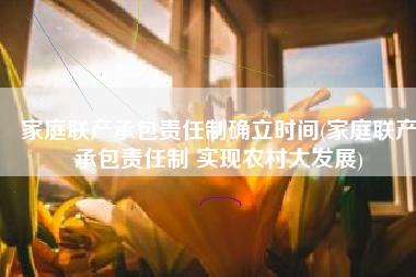 家庭联产承包责任制确立时间(家庭联产承包责任制 实现农村大发展)