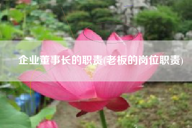 企业董事长的职责(老板的岗位职责)