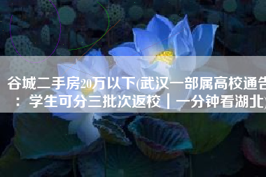 谷城二手房20万以下(武汉一部属高校通告：学生可分三批次返校｜一分钟看湖北)