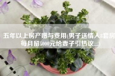 五年以上房产赠与费用(男子送情人8套房，每月留5000元给妻子引热议....)