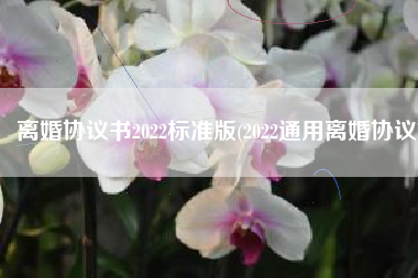 离婚协议书2022标准版(2022通用离婚协议)