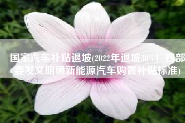 国家汽车补贴退坡(2022年退坡30%！四部委发文明确新能源汽车购置补贴标准)