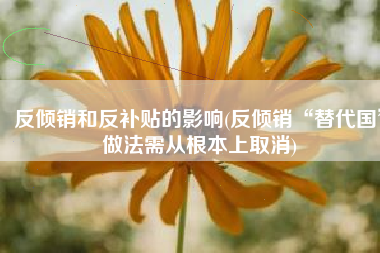 反倾销和反补贴的影响(反倾销“替代国”做法需从根本上取消)