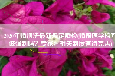 2020年婚姻法最新规定婚检(婚前医学检查该强制吗？专家：相关制度有待完善)