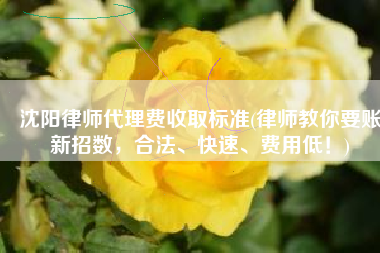 沈阳律师代理费收取标准(律师教你要账新招数，合法、快速、费用低！)