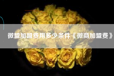 微盟加盟费用多少条件《微商加盟费》