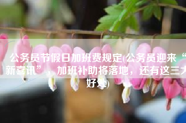 公务员节假日加班费规定(公务员迎来“新喜讯”，加班补助将落地，还有这三大好处)