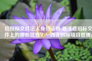 招投标文件法人身份证明(要注意招标文件上的哪些信息？—西北国际项目管理)