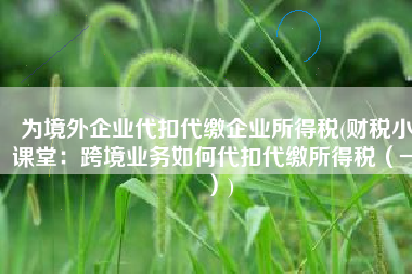 为境外企业代扣代缴企业所得税(财税小课堂：跨境业务如何代扣代缴所得税（一）)