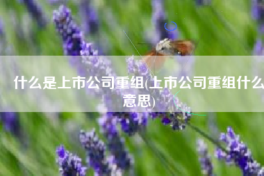 什么是上市公司重组(上市公司重组什么意思)