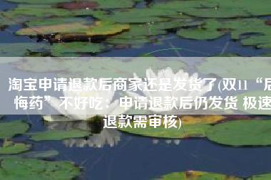 淘宝申请退款后商家还是发货了(双11“后悔药”不好吃：申请退款后仍发货 极速退款需审核)