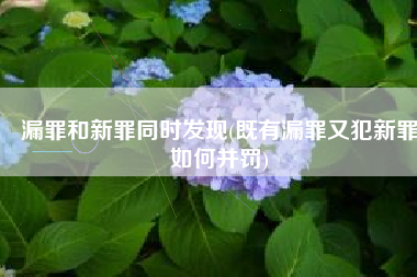 漏罪和新罪同时发现(既有漏罪又犯新罪如何并罚)