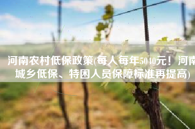 河南农村低保政策(每人每年5040元！河南城乡低保、特困人员保障标准再提高)