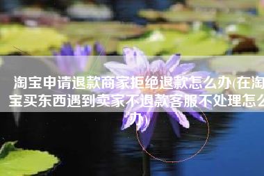 淘宝申请退款商家拒绝退款怎么办(在淘宝买东西遇到卖家不退款客服不处理怎么办)