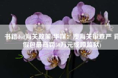 书籍dvd海关政策(华媒：澳海关审查严 背假包最高罚50万元或蹲监狱)