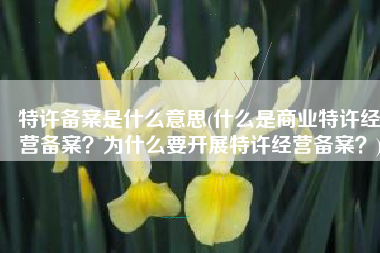特许备案是什么意思(什么是商业特许经营备案？为什么要开展特许经营备案？)