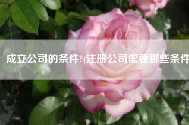成立公司的条件?(注册公司需要哪些条件)