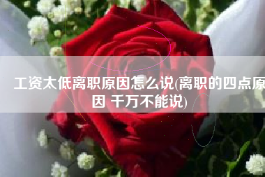 工资太低离职原因怎么说(离职的四点原因 千万不能说)