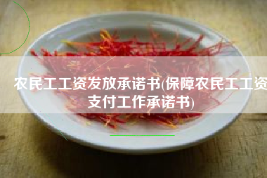 农民工工资发放承诺书(保障农民工工资支付工作承诺书)