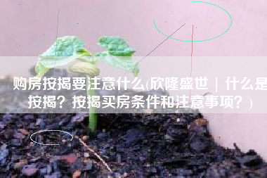 购房按揭要注意什么(欣隆盛世 | 什么是按揭？按揭买房条件和注意事项？)