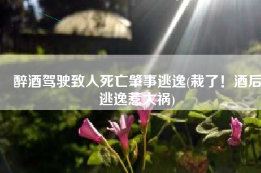 醉酒驾驶致人死亡肇事逃逸(栽了！酒后逃逸惹大祸)